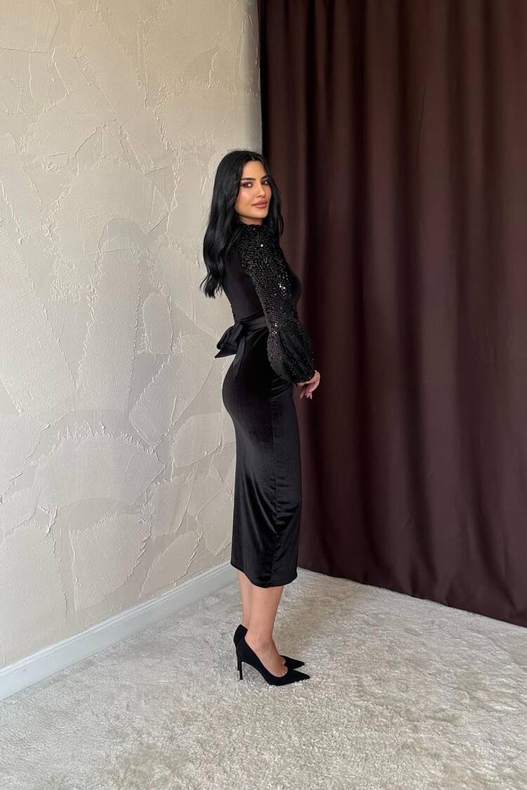 Sequined Velvet Dress
