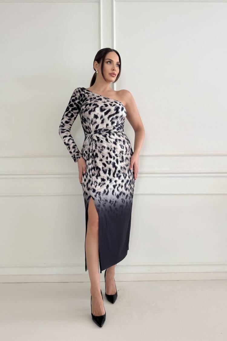 Single Sleeve Venezia Dress - Multicolor