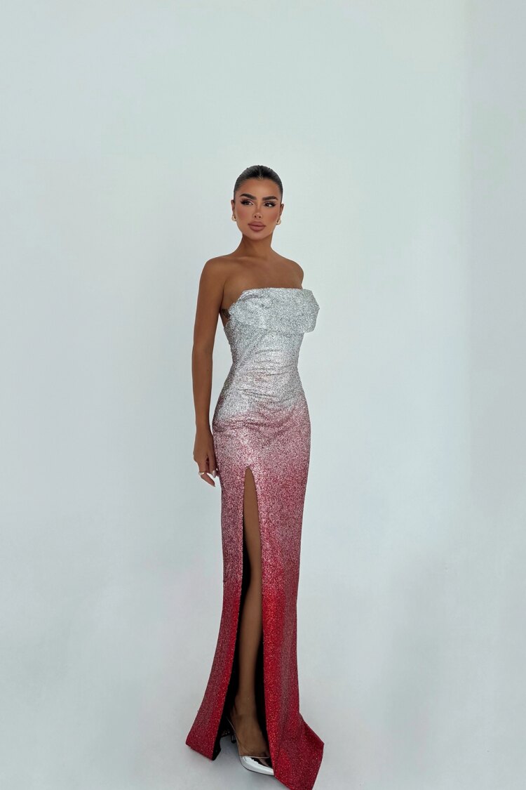 Two-Color Toulon Long Slit Dress