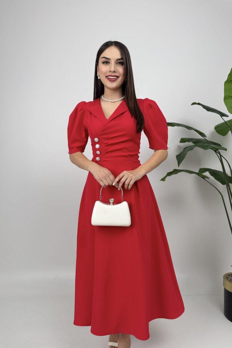 Elegant Fit And Flare Dress With Puff Half Sleeves